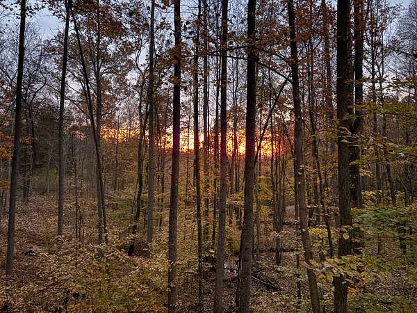 131 Acres of Recreational Land for Sale in Belton, Kentucky