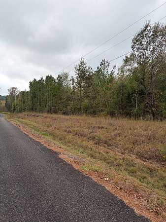 15.5 Acres of Land for Sale in Doddridge, Arkansas