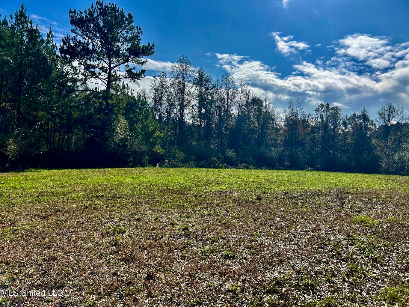 39.7 Acres of Land for Sale in Brookhaven, Mississippi