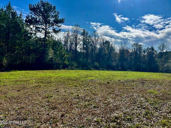 39.7 Acres of Land for Sale in Brookhaven, Mississippi