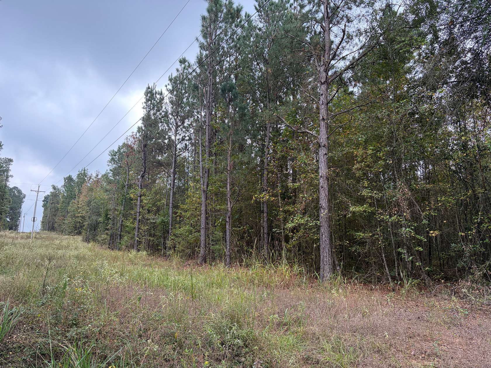10.5 Acres of Land for Sale in Doddridge, Arkansas