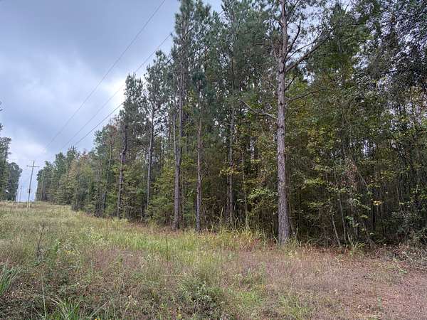 10.5 Acres of Land for Sale in Doddridge, Arkansas