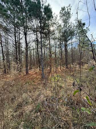 73 Acres of Land for Sale in Star City, Arkansas