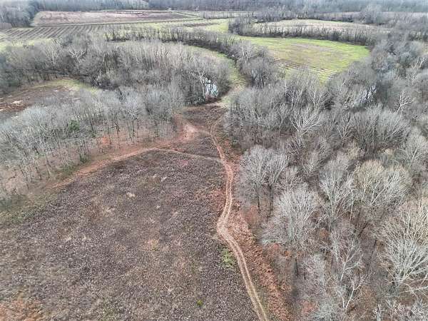 53.5 Acres of Land for Sale in Lewisburg, Kentucky