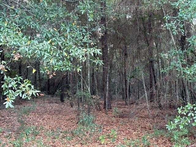 1 Acre of Residential Land for Sale in Bainbridge, Georgia