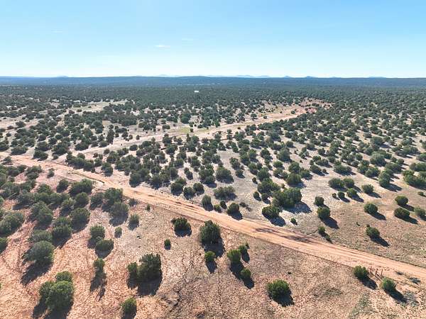 20 Acres of Recreational Land for Sale in Show Low, Arizona