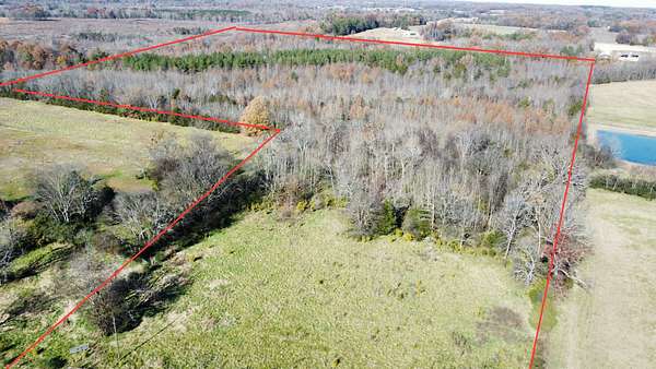 45 Acres of Recreational Land & Farm for Sale in Town Creek, Alabama