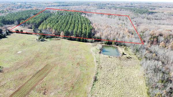 35 Acres of Recreational Land & Farm for Sale in Town Creek, Alabama