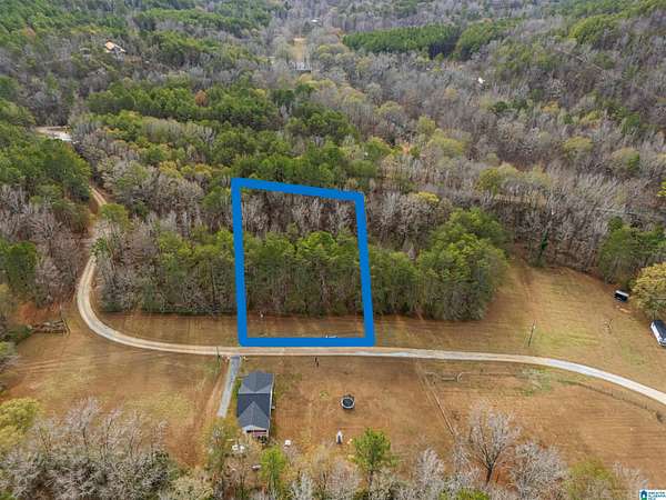 1.24 Acres of Residential Land for Sale in Piedmont, Alabama