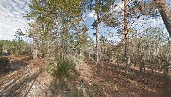 0.46 Acres of Land for Sale in Bronson, Florida