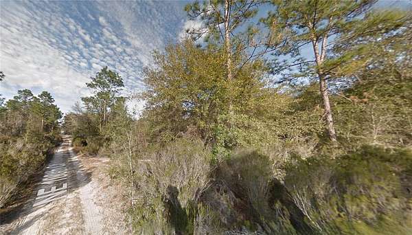 0.31 Acres of Land for Sale in Bronson, Florida