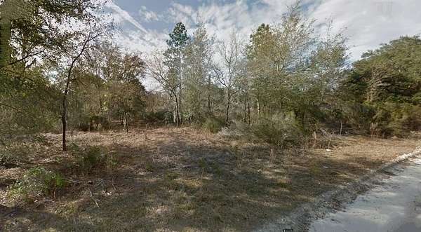 1.25 Acres of Land for Sale in Bronson, Florida