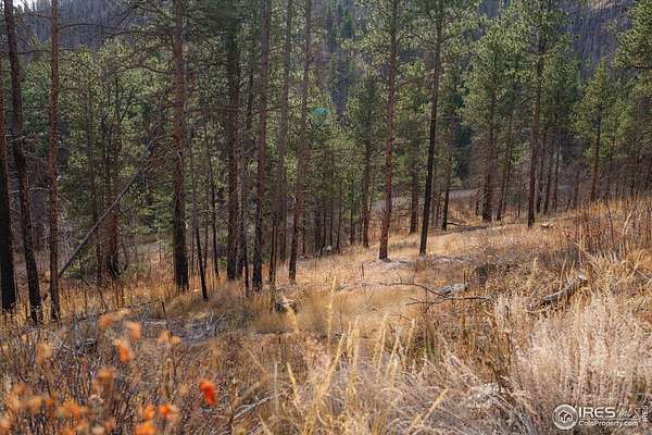 2.15 Acres of Land for Sale in Bellvue, Colorado