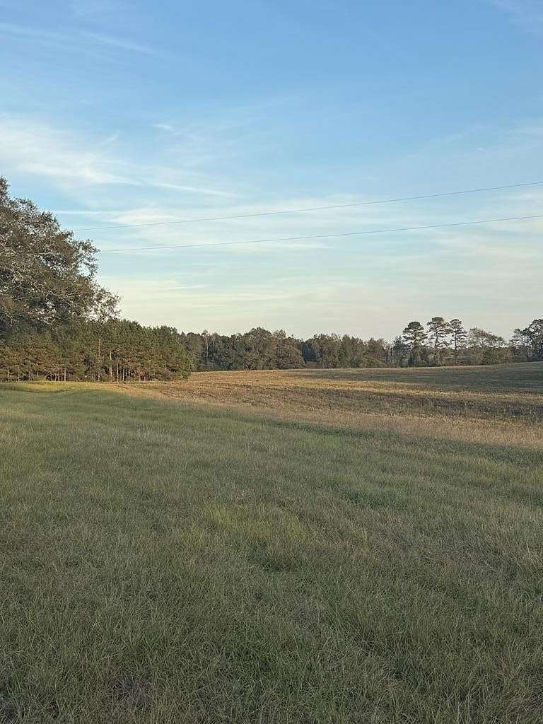 12.8 Acres of Land for Sale in Brundidge, Alabama