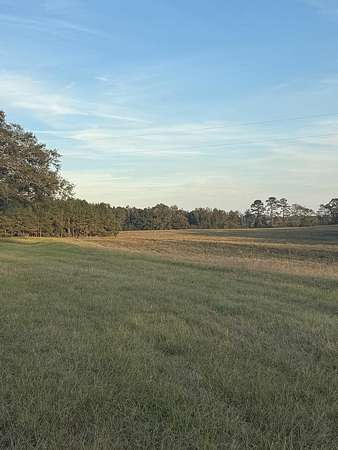 12.8 Acres of Land for Sale in Brundidge, Alabama