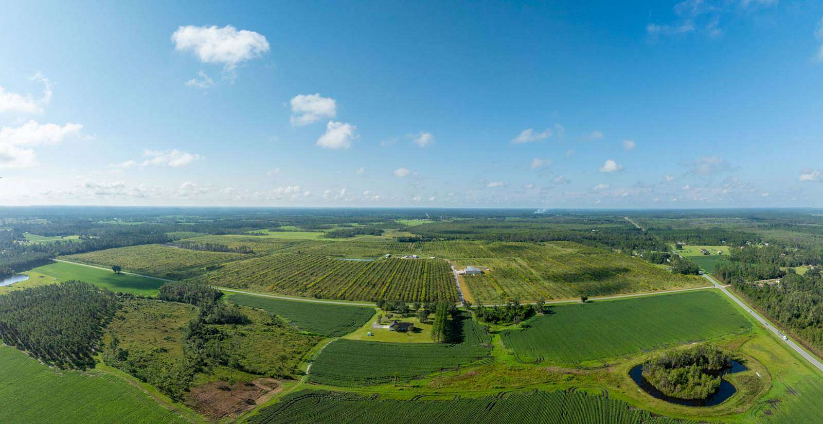 323 Acres of Land for Sale in Naylor, Georgia