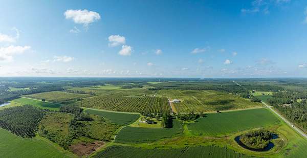 323 Acres of Land for Sale in Naylor, Georgia