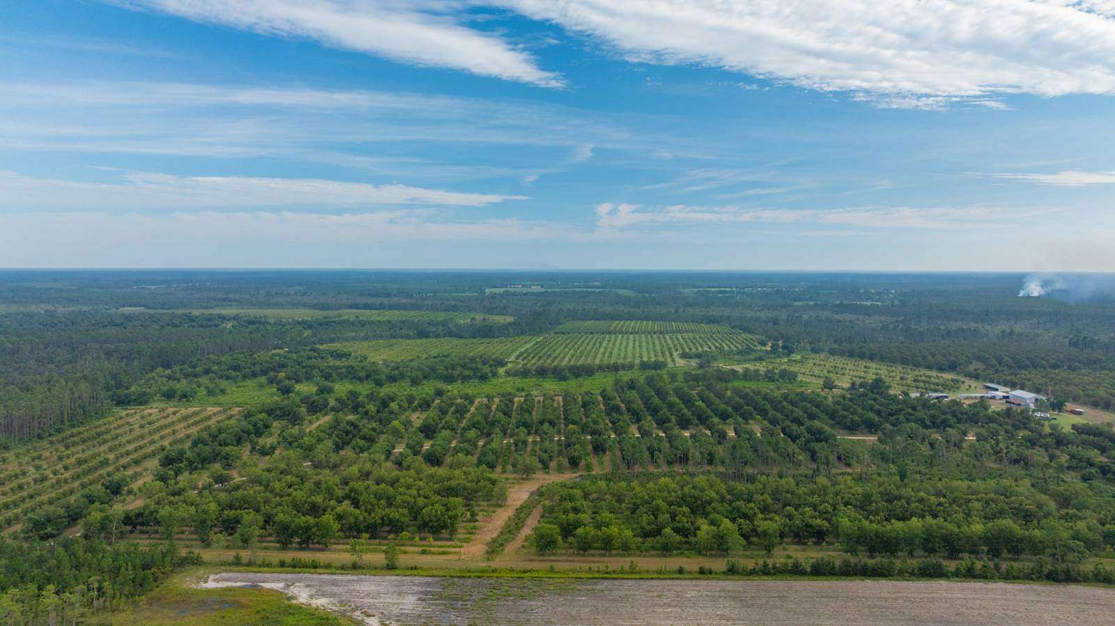 1,181 Acres of Improved Land for Sale in Lakeland, Georgia