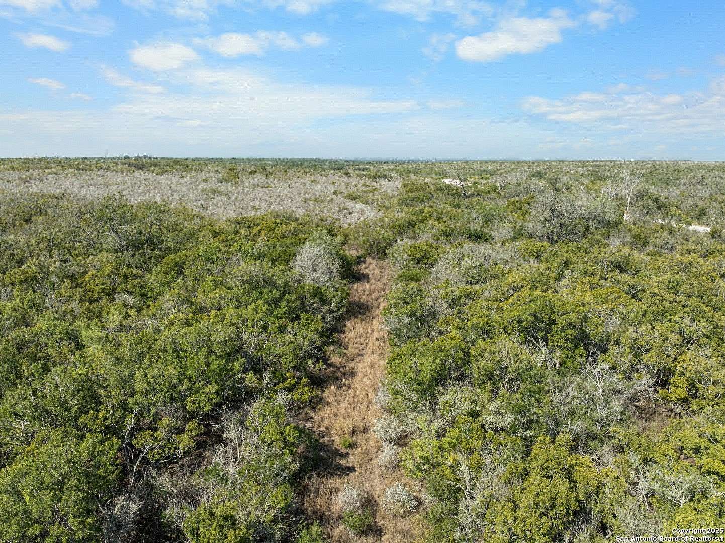 Land for Sale in George West, Texas