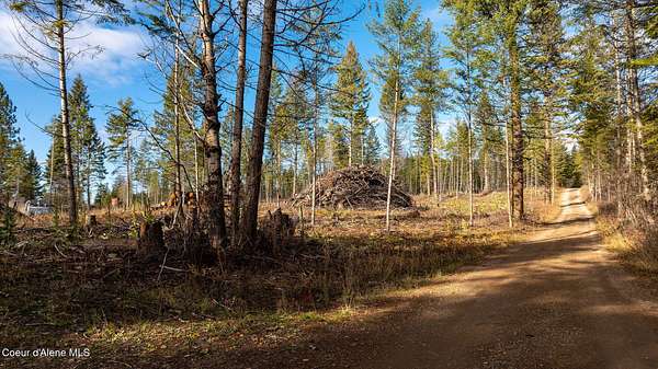 21.4 Acres of Improved Land for Sale in Clark Fork, Idaho