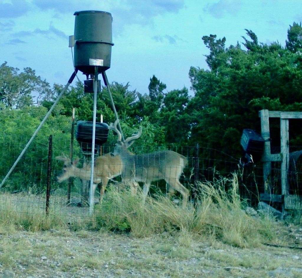 273 Acres of Improved Land for Sale in Rocksprings, Texas