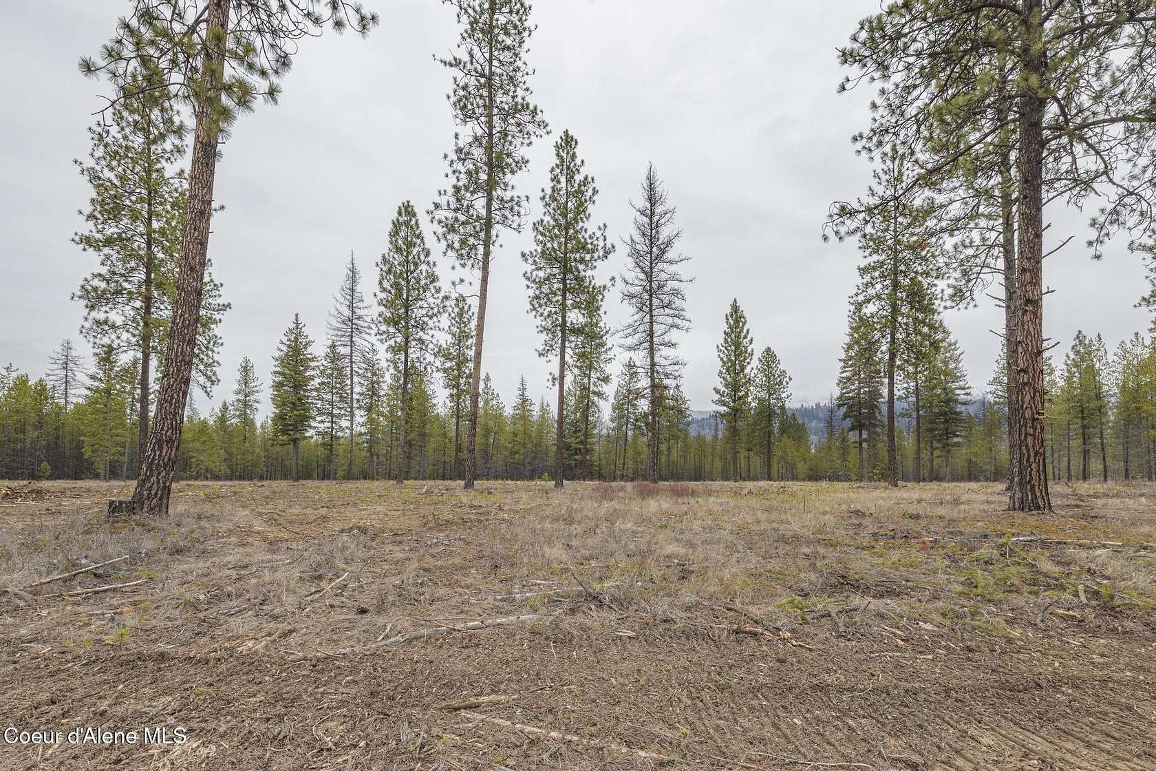 5 Acres of Residential Land for Sale in Blanchard, Idaho