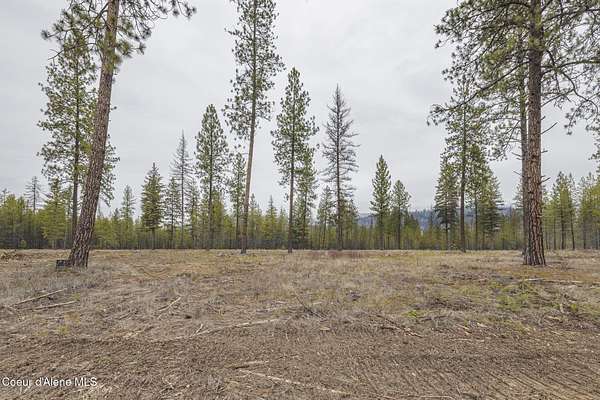 5 Acres of Residential Land for Sale in Blanchard, Idaho