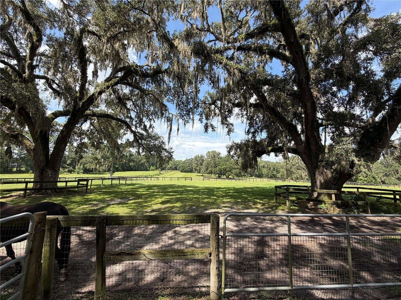 18 Acres of Agricultural Land for Sale in Ocala, Florida