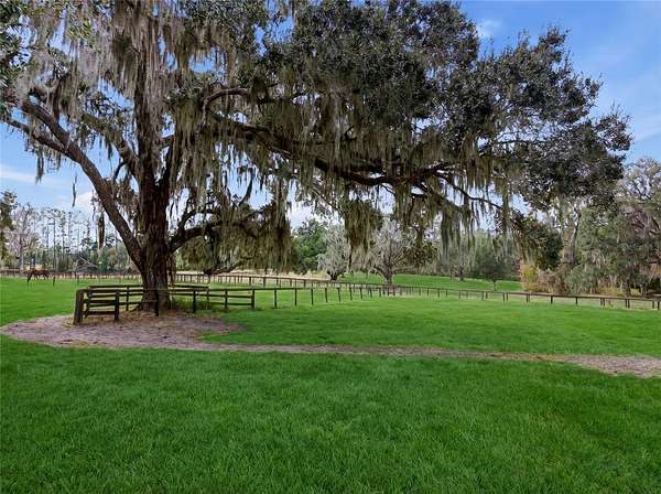 18 Acres of Agricultural Land for Sale in Ocala, Florida