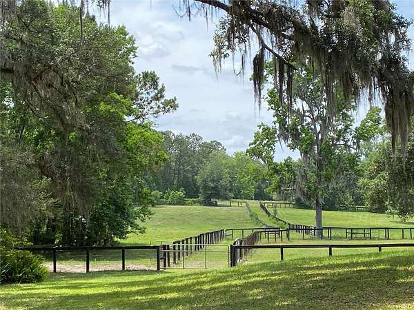 18 Acres of Agricultural Land for Sale in Ocala, Florida