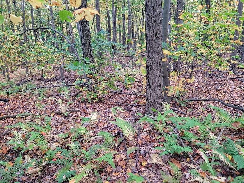 0.29 Acres of Land for Sale in Claysburg, Pennsylvania