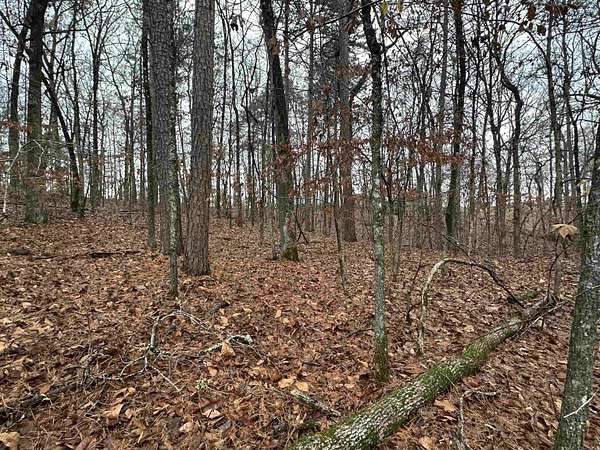 1 Acre of Residential Land for Sale in Tull, Arkansas