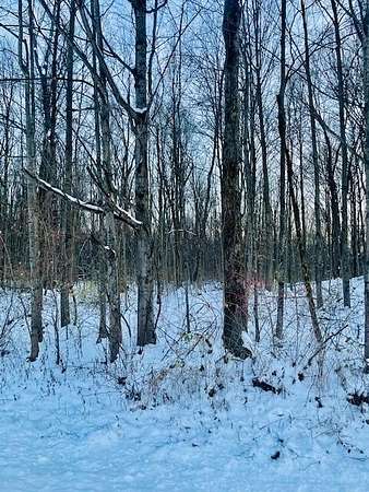 25 Acres of Recreational Land for Sale in Mount Gilead, Ohio