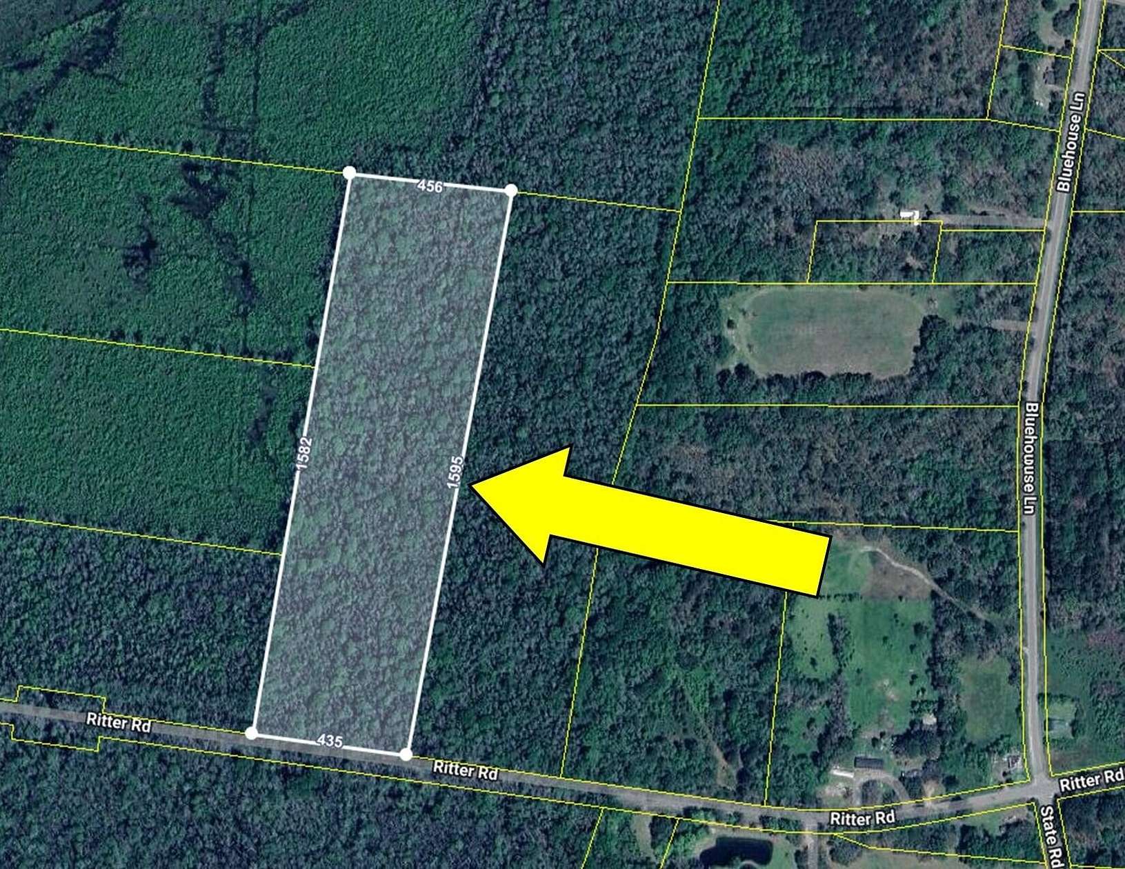 16.2 Acres of Recreational Land for Sale in Walterboro, South Carolina