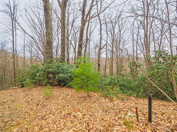 0.36 Acres of Residential Land for Sale in Fancy Gap, Virginia