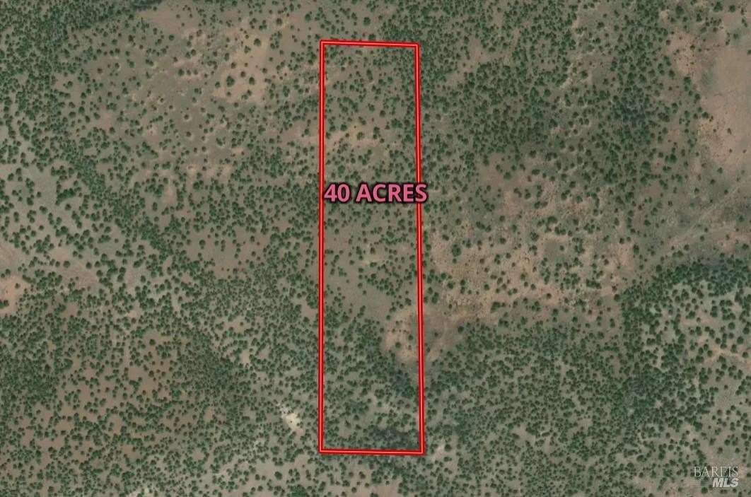 40 Acres of Recreational Land for Sale in Alturas, California