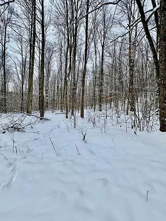 8.3 Acres of Land for Sale in Genesee, Pennsylvania