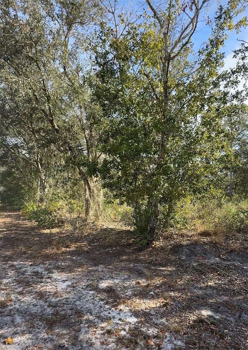 2.4 Acres of Residential Land for Sale in Poinciana, Florida