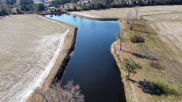 46.9 Acres of Recreational Land & Farm for Sale in Nichols, South Carolina