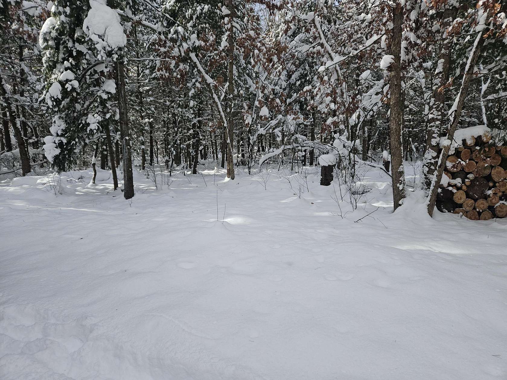 2.48 Acres of Land for Sale in Irons, Michigan