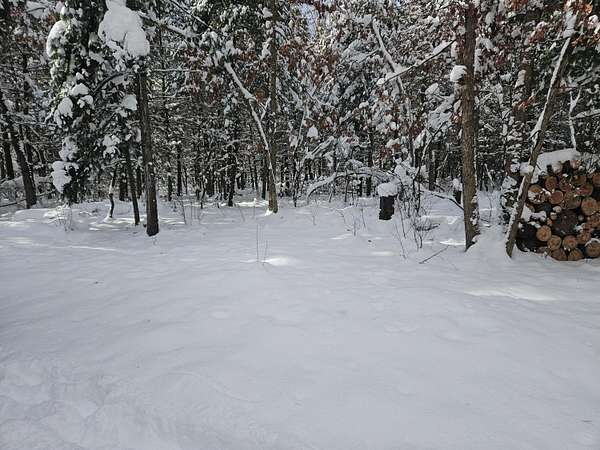 2.48 Acres of Land for Sale in Irons, Michigan