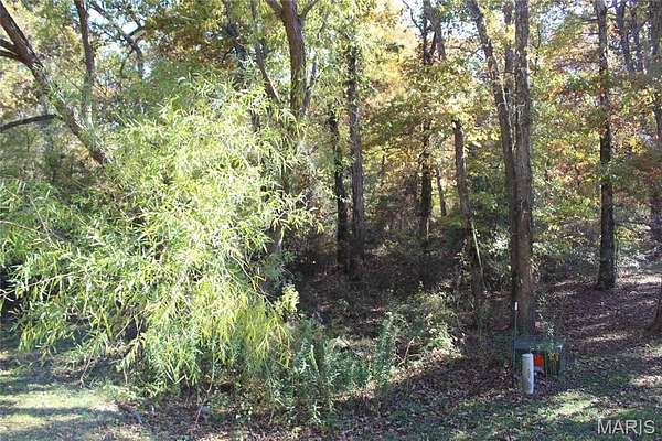 2.9 Acres of Residential Land for Sale in Fairdealing, Missouri