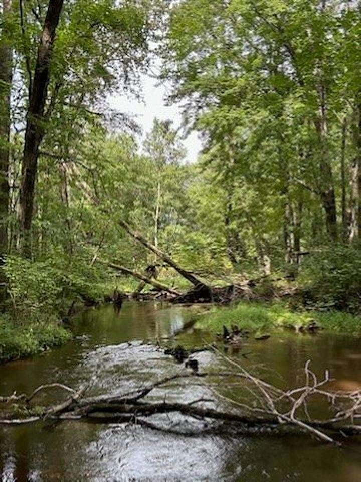 40 Acres of Recreational Land for Sale in Pittsville, Wisconsin