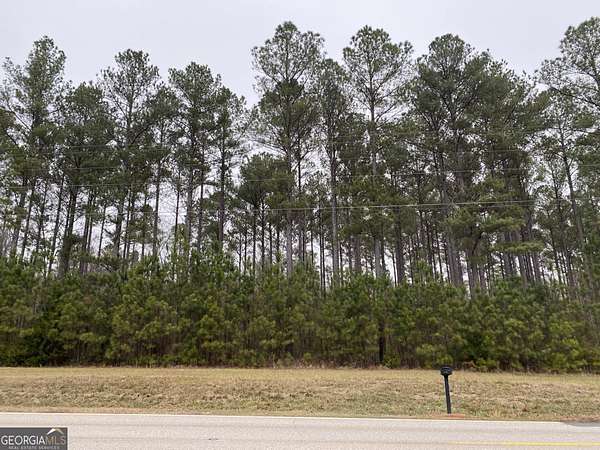 30 Acres of Land for Sale in Jersey, Georgia