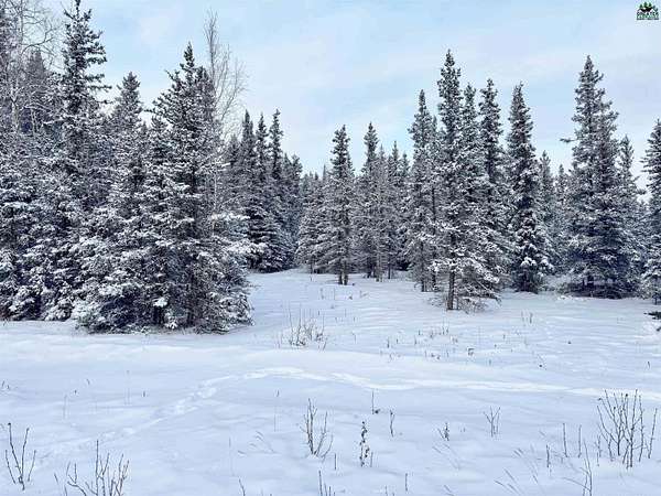Residential Land for Sale in Delta Junction, Alaska