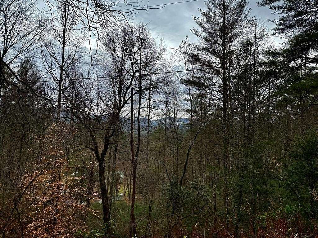 0.99 Acres of Residential Land for Sale in Franklin, North Carolina