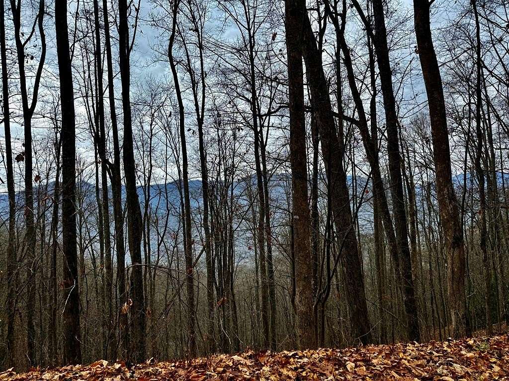 4.27 Acres of Land for Sale in Whittier, North Carolina