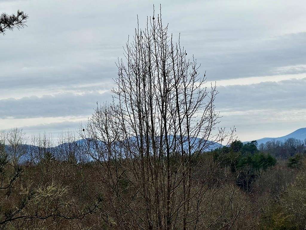 0.87 Acres of Residential Land for Sale in Franklin, North Carolina