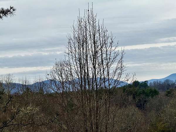 0.87 Acres of Residential Land for Sale in Franklin, North Carolina