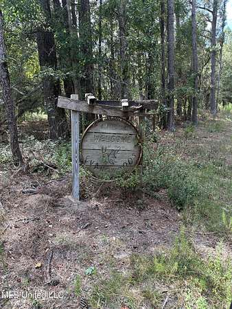 142 Acres of Land for Sale in Laurel, Mississippi